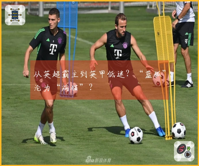 从英超霸主到英甲低迷?“蓝狐”沦为“病猫”?
